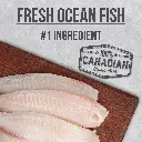 D6117-INF-Adult-Fish-10kg-7 (1).webp