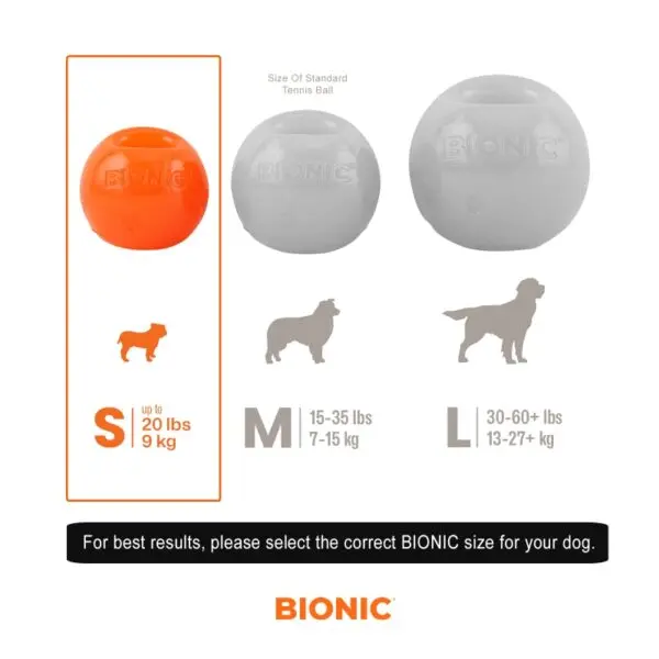 bionic-durable-ball-small-size-chart_800px-600x600.webp