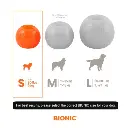 bionic-durable-ball-small-size-chart_800px-600x600.webp