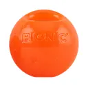 Bionic Ball L_97806.webp