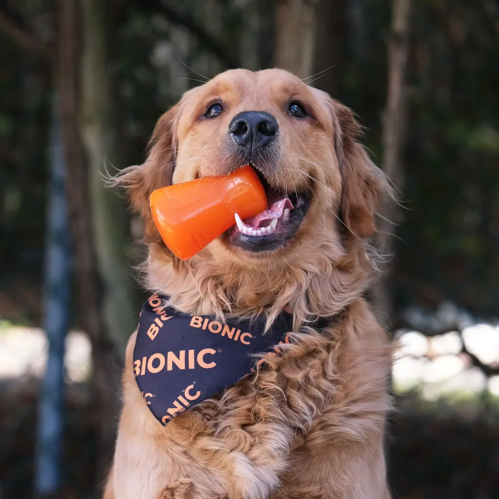 bionic-treat-shaker-8.webp