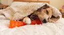P1002288 (1).webp