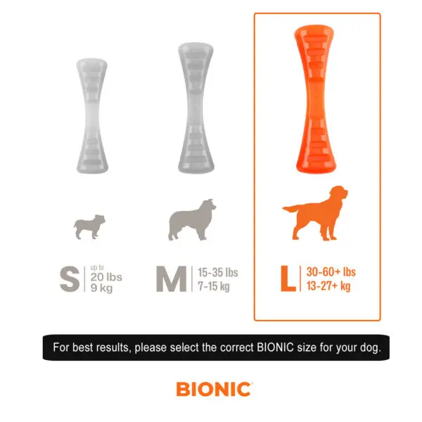 bionic-durable-urban-stick-english-large-1.webp
