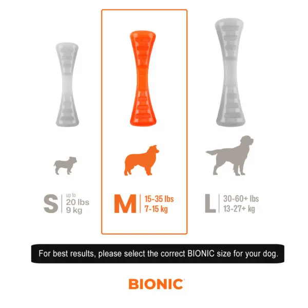 bionic-durable-urban-stick-english-medium-1.webp