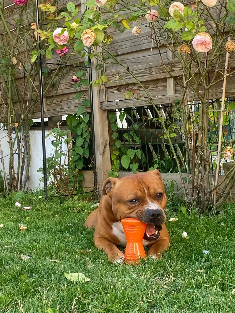 WhatsApp Image 2024-06-24 at 17.43.19 (2).webp