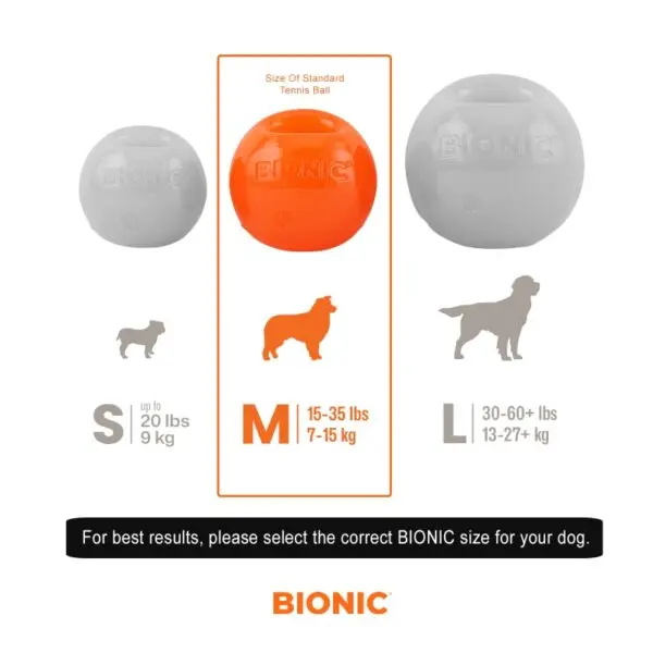 bionic-durable-ball-medium-size-chart_800px-600x600.webp