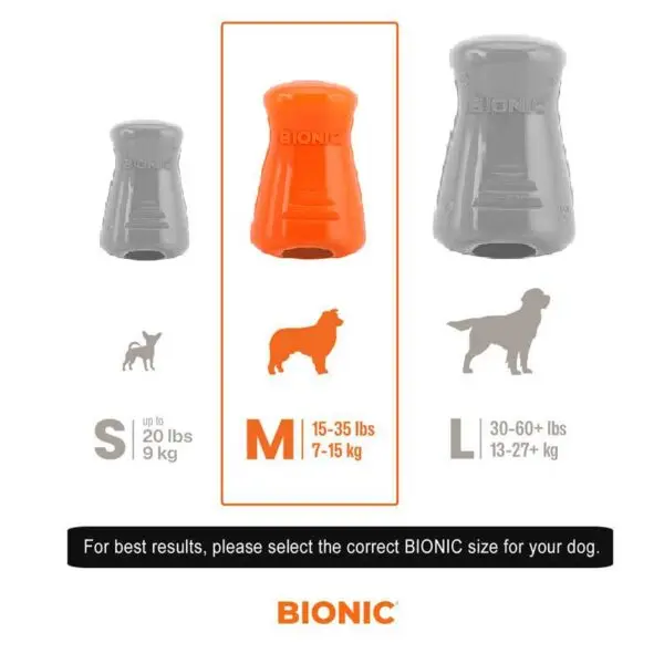 bionic-treat-shaker-size-chart-medium-600x600.webp